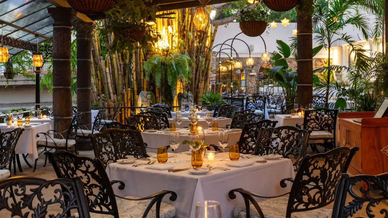 Our terrace dining room - Le Bistro Restaurant, Puerto Vallarta, JAL