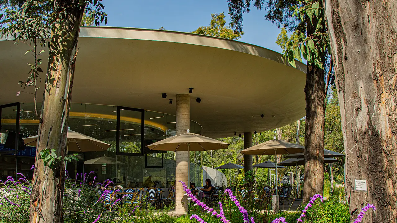 Proscenio Café dentro del Jardín Escénico. - Proscenio Café, Ciudad de México, CDMX