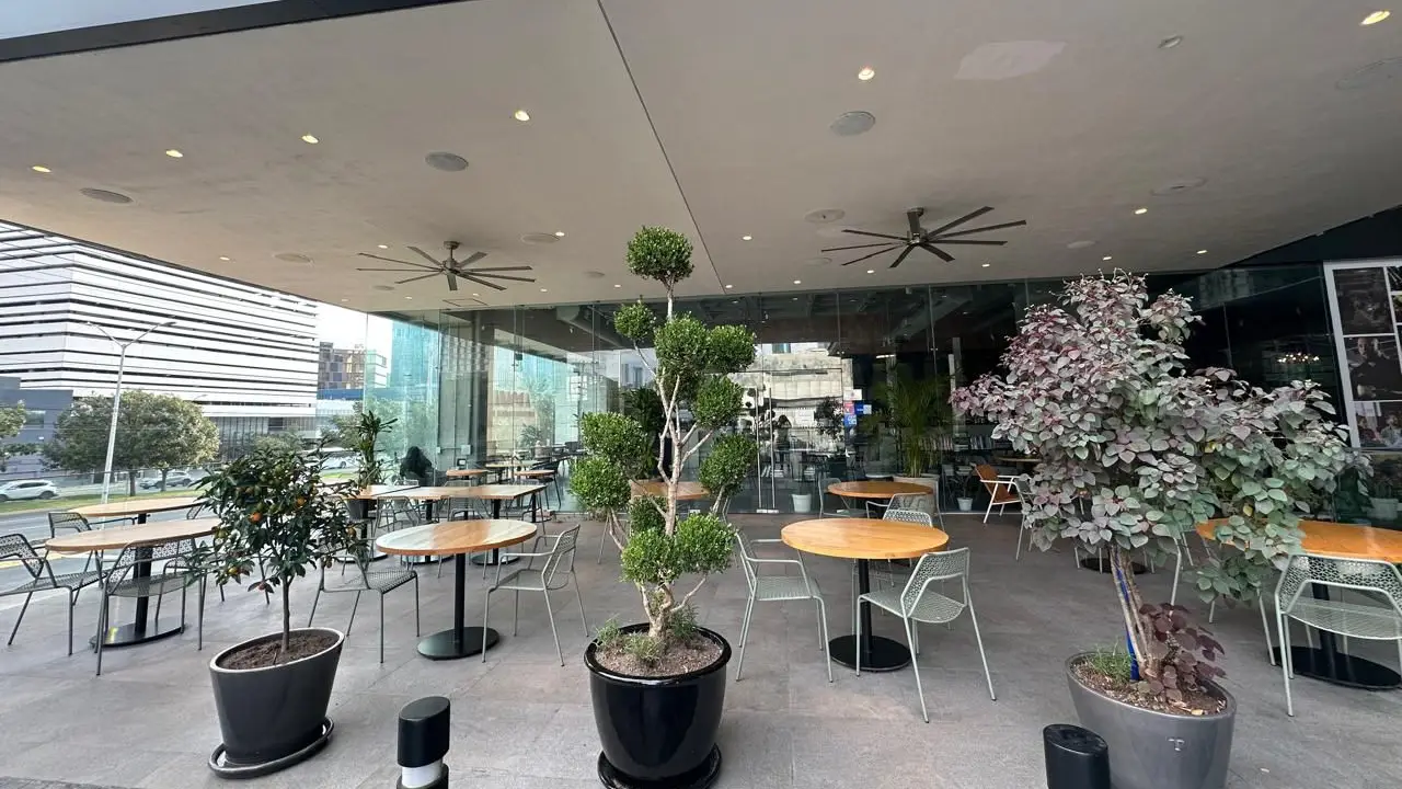 AROMALI COCINA INTERNACIONAL, San Pedro Garza García, NLE