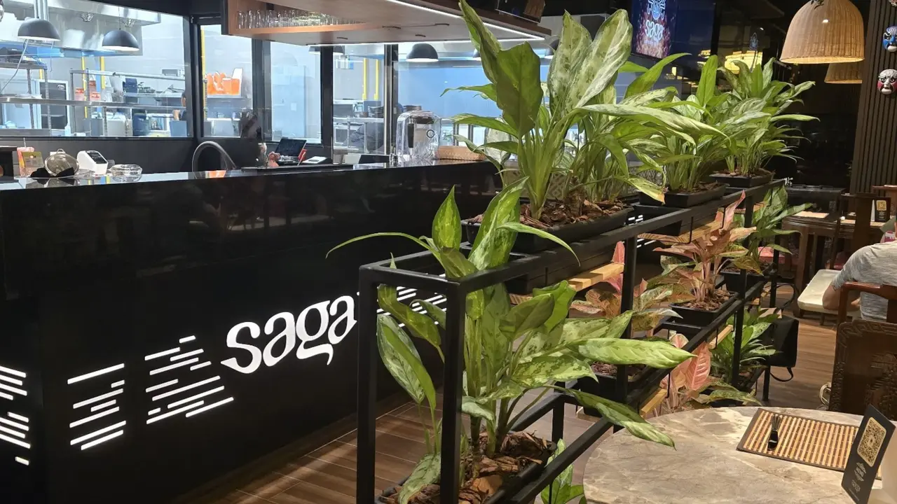 Homenaje y pasión que trasciende generaciones - Saga, Panama City, Panama Province