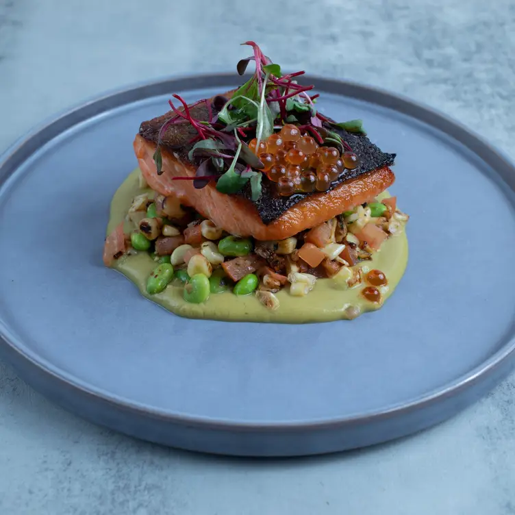 King Salmon - bluEmber at Rancho Las Palmas Resort & Spa, Rancho Mirage, CA