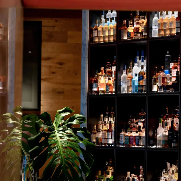 SBG Kitchen, Santo Domingo, Santo Domingo