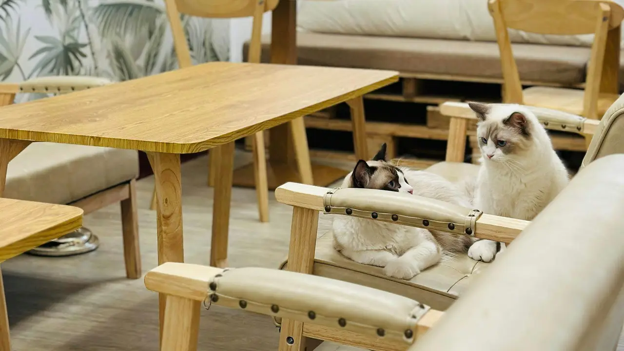 癒室Healing Space, Taitung City, TTT