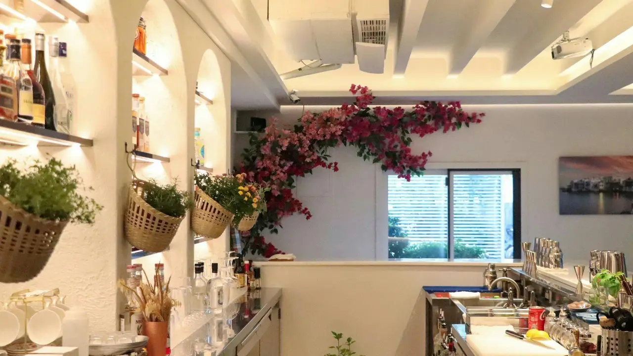 臺虎 MED 台中, Taichung City, TXG