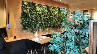 Una foto del restaurante Tomàs Restaurant