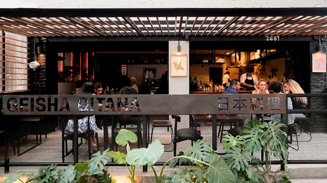 Img--wa - Geisha Gitana - Providencia, Guadalajara, JAL