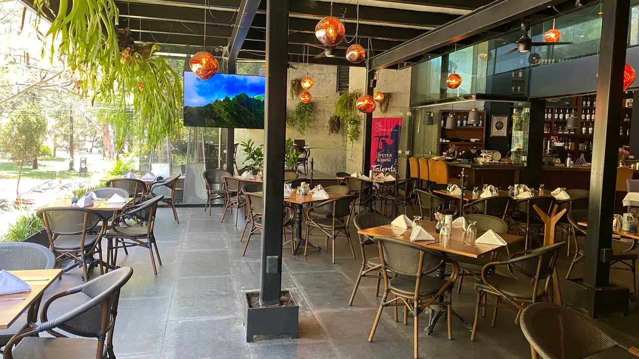 Talento Providencia, Guadalajara, JAL