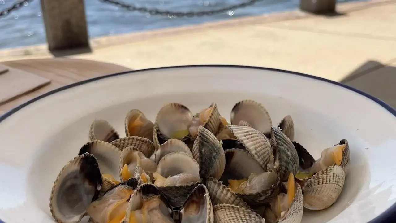 O Loxe Mareiro，PontevedraCarril