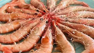 Una foto del restaurante Macha