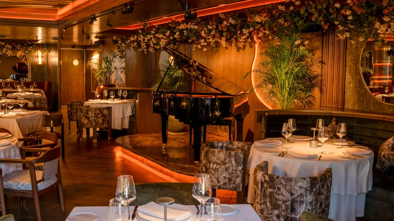 Harry's Polanco - Harry's Polanco, Ciudad de México, CDMX