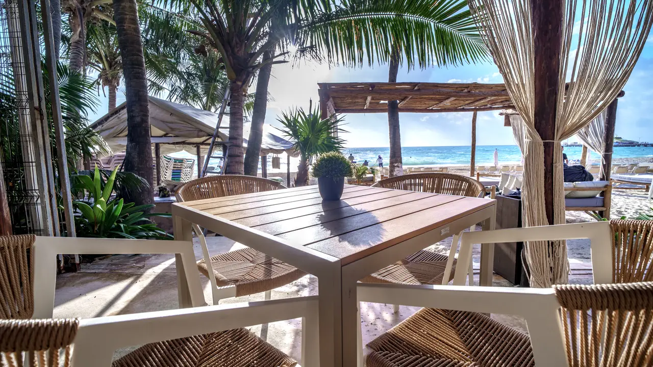 Beachfront Dining - Makesh Beach Club, Playa del Carmen, ROO