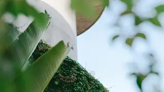 Una foto del restaurante Sommo
