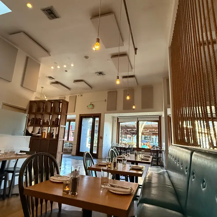 Zaytoon, Albany, CA