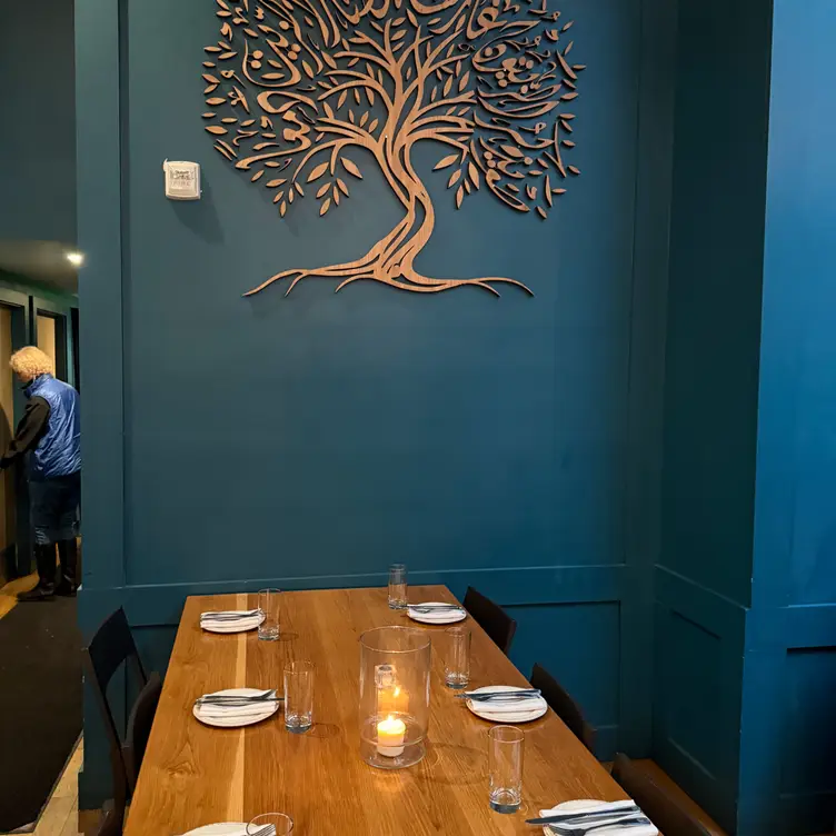Zaytoon, Albany, CA