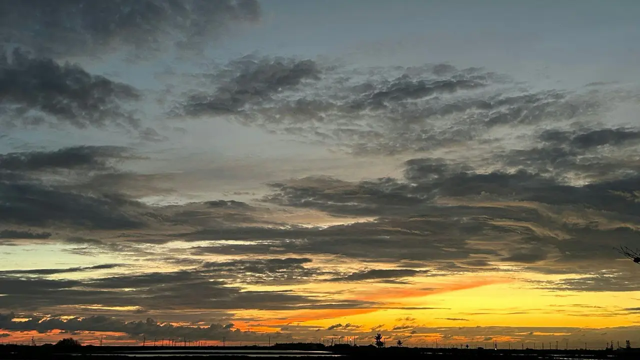 黑琵食堂, Tainan City, TNN
