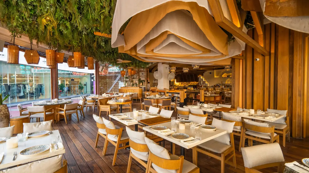 Ilios - Playa del Carmen, Playa del Carmen, ROO