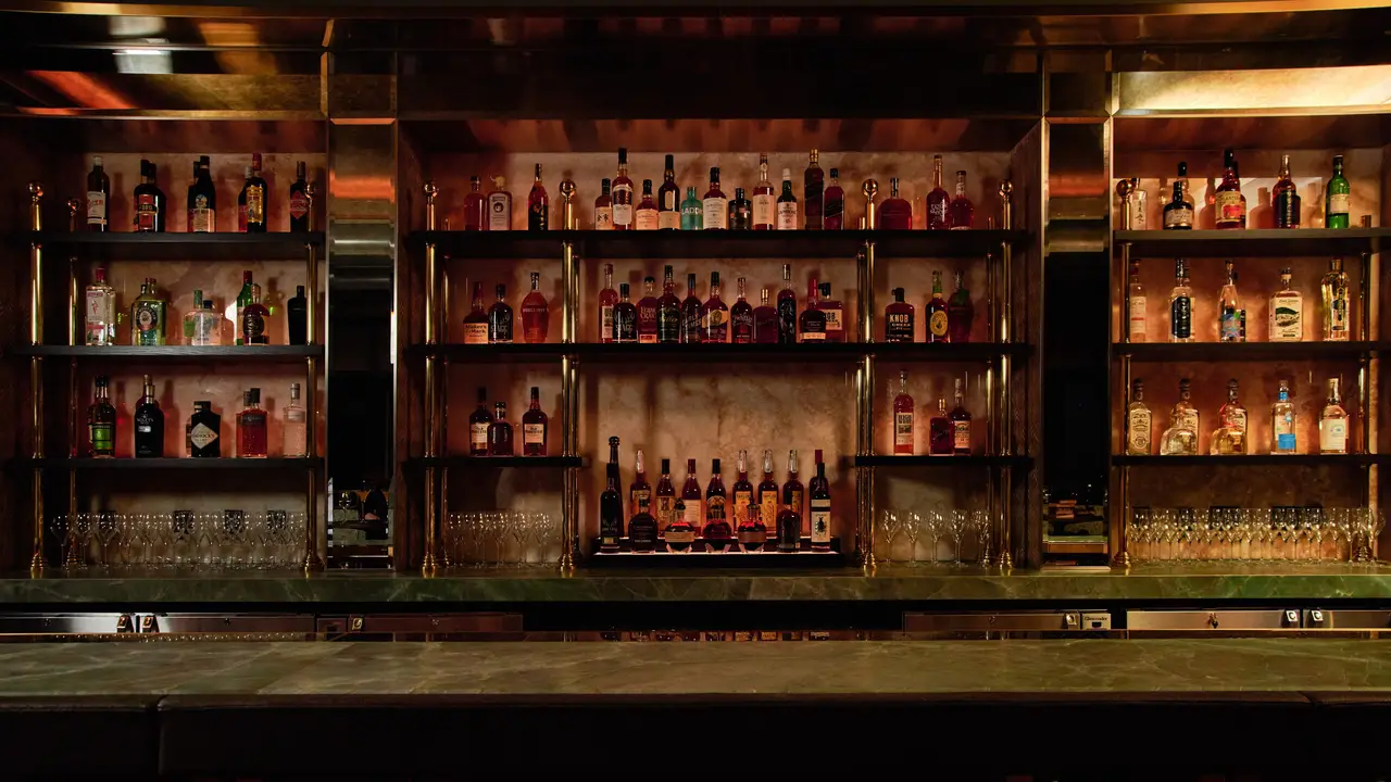 The Alston, Chicago, IL