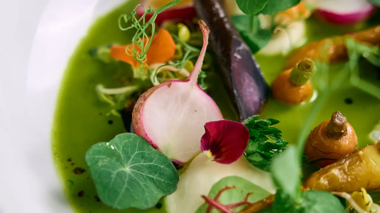 Suppe von der Brunnenkresse - Untere Apotheke  Waiblingen, Waiblingen, BW