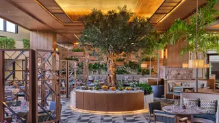 A photo of Cassava restaurant