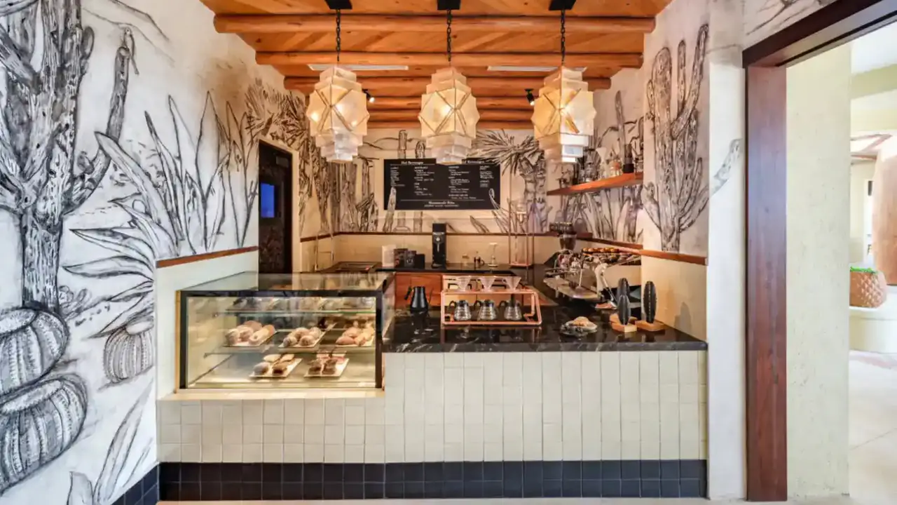 A Mexican Coffee Experience at Its Finest - Neutral Coffee Lab, Cabo San Lucas, BCS