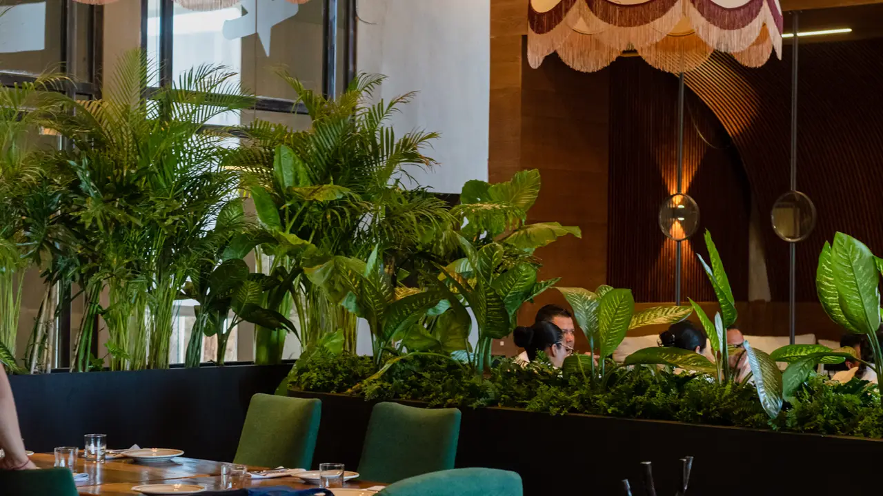 NIDO Cocina Brava, Santiago de Querétaro, QUE