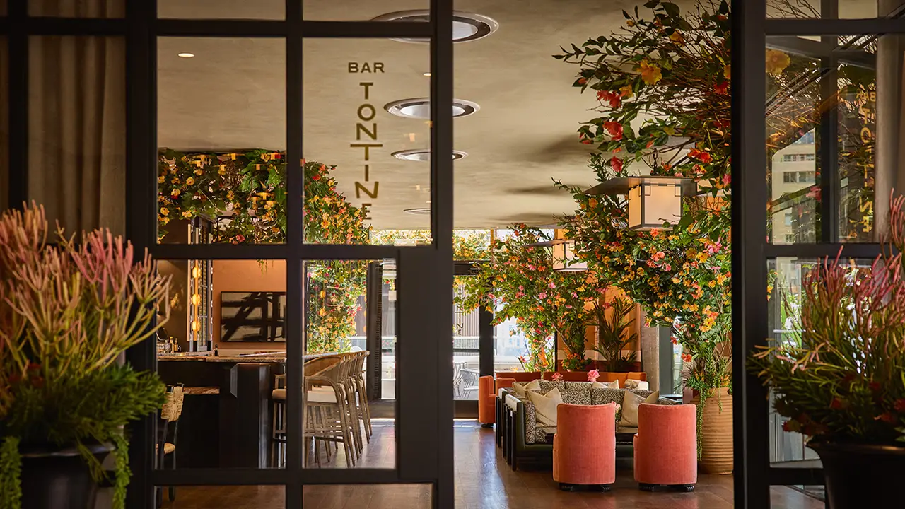 Bar Tontine, New York, NY