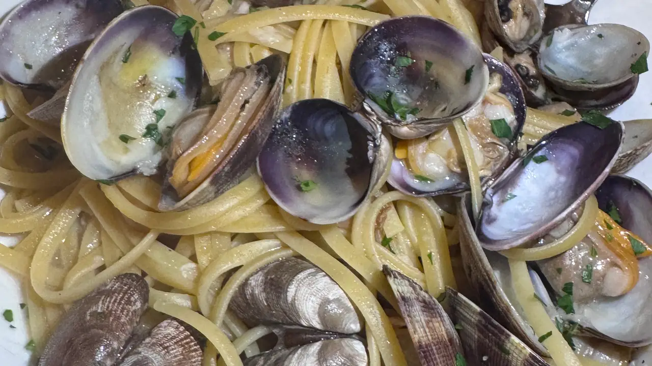 Il Colosseo Restaurant And Pizzeria, Brooklyn, NY