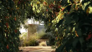 Una foto del restaurante Seville Estate