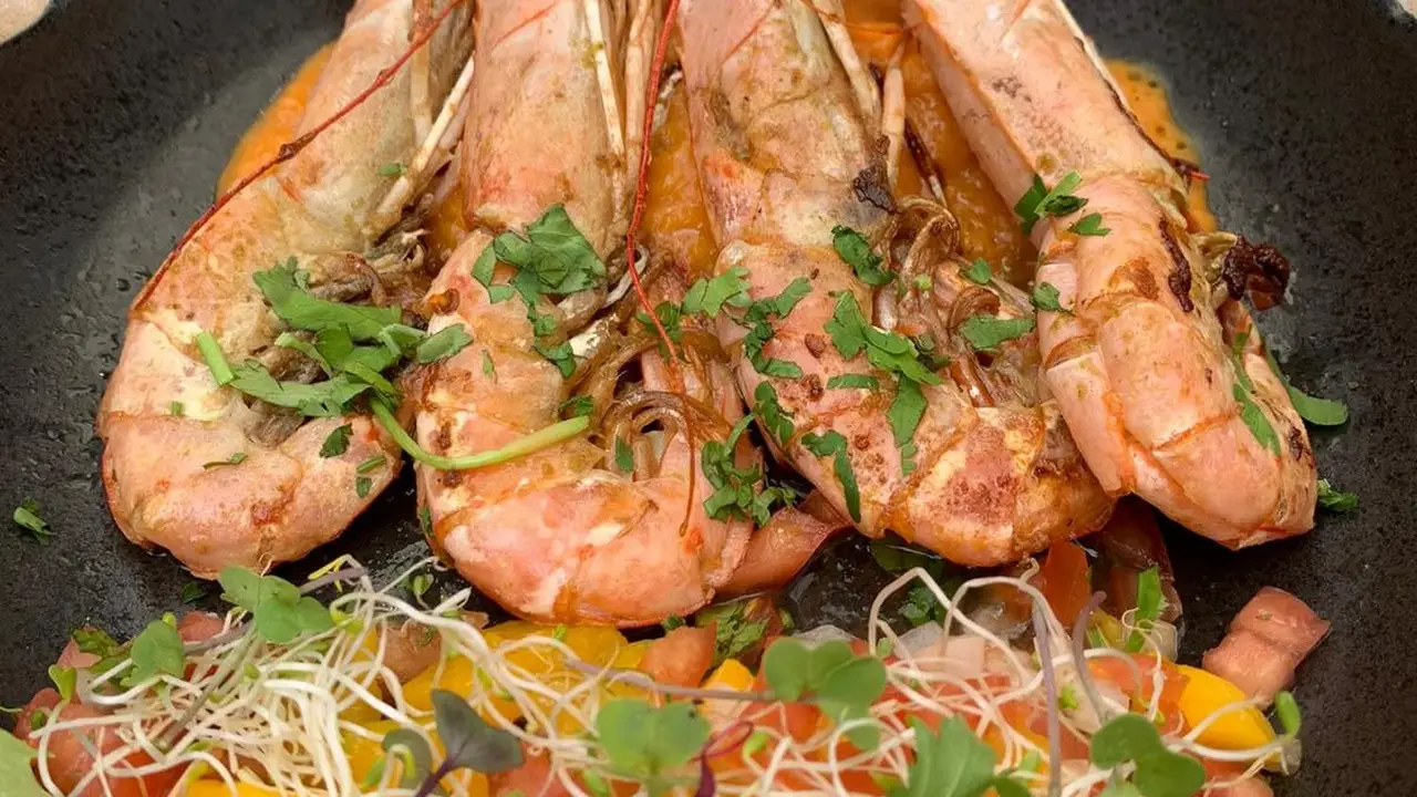 Sal y Salsa, Valladolid, Valladolid