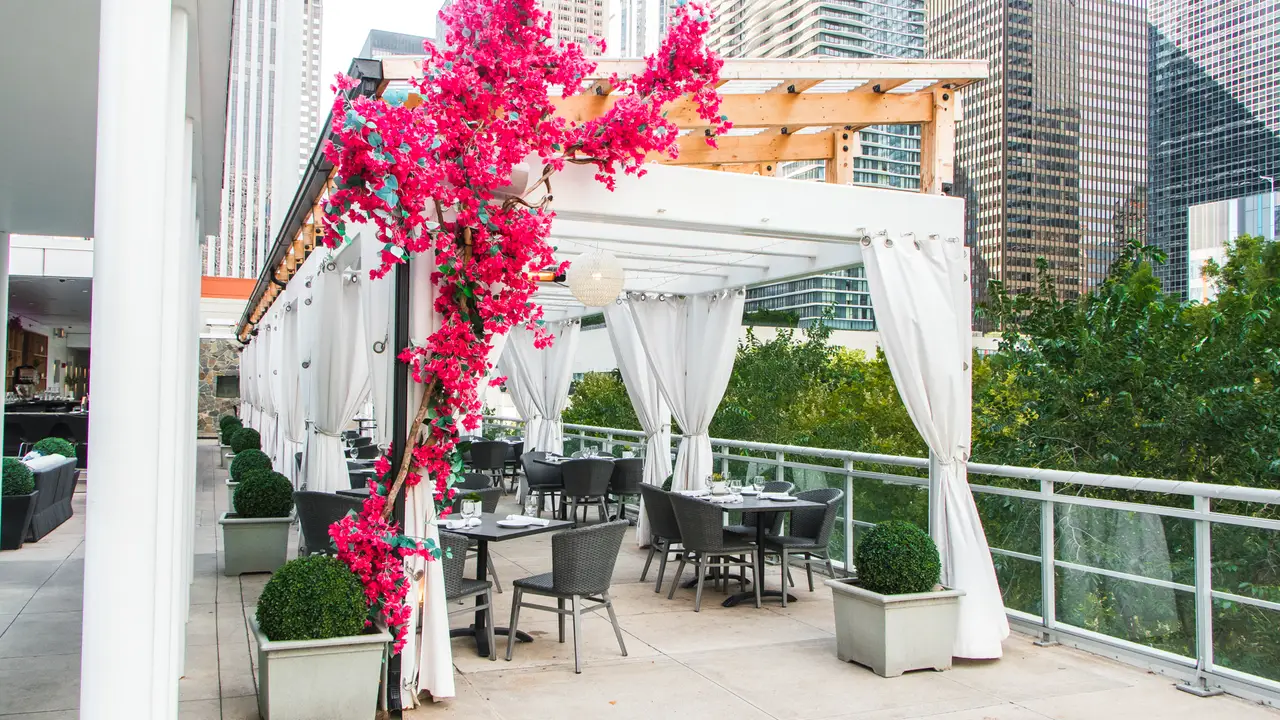 A contemporary Greek restaurant downtown Chicago - Avli on The Park - Lakeshore East, Chicago, IL