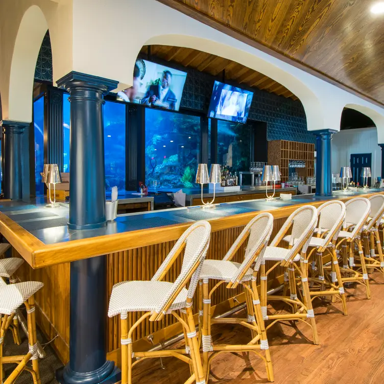 Saltwater Grill - Panama City, Panama City Beach, FL