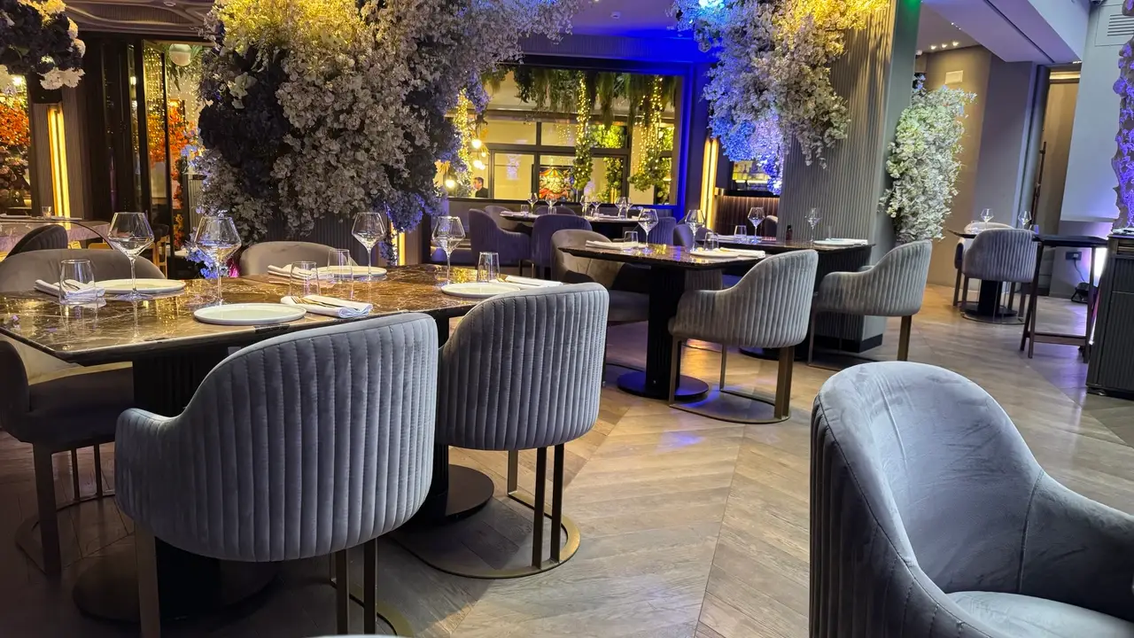 Restaurant - Geco Athens, Athina, Greece