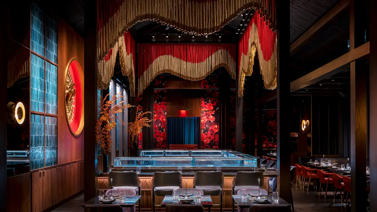 Gekko, Miami, FL