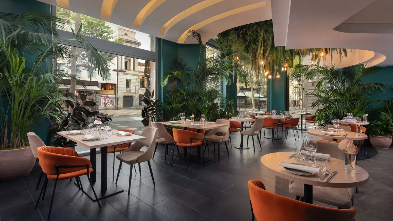 CentOnze Restaurant - Restaurant Cent Onze, Barcelona, Barcelona