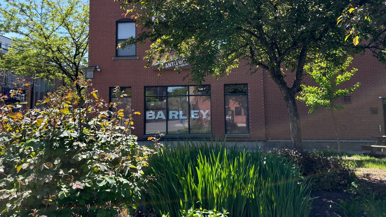 Barley, Montréal, QC