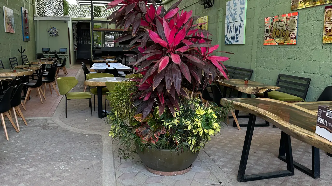 GastromiQ, Puerto Vallarta, JAL