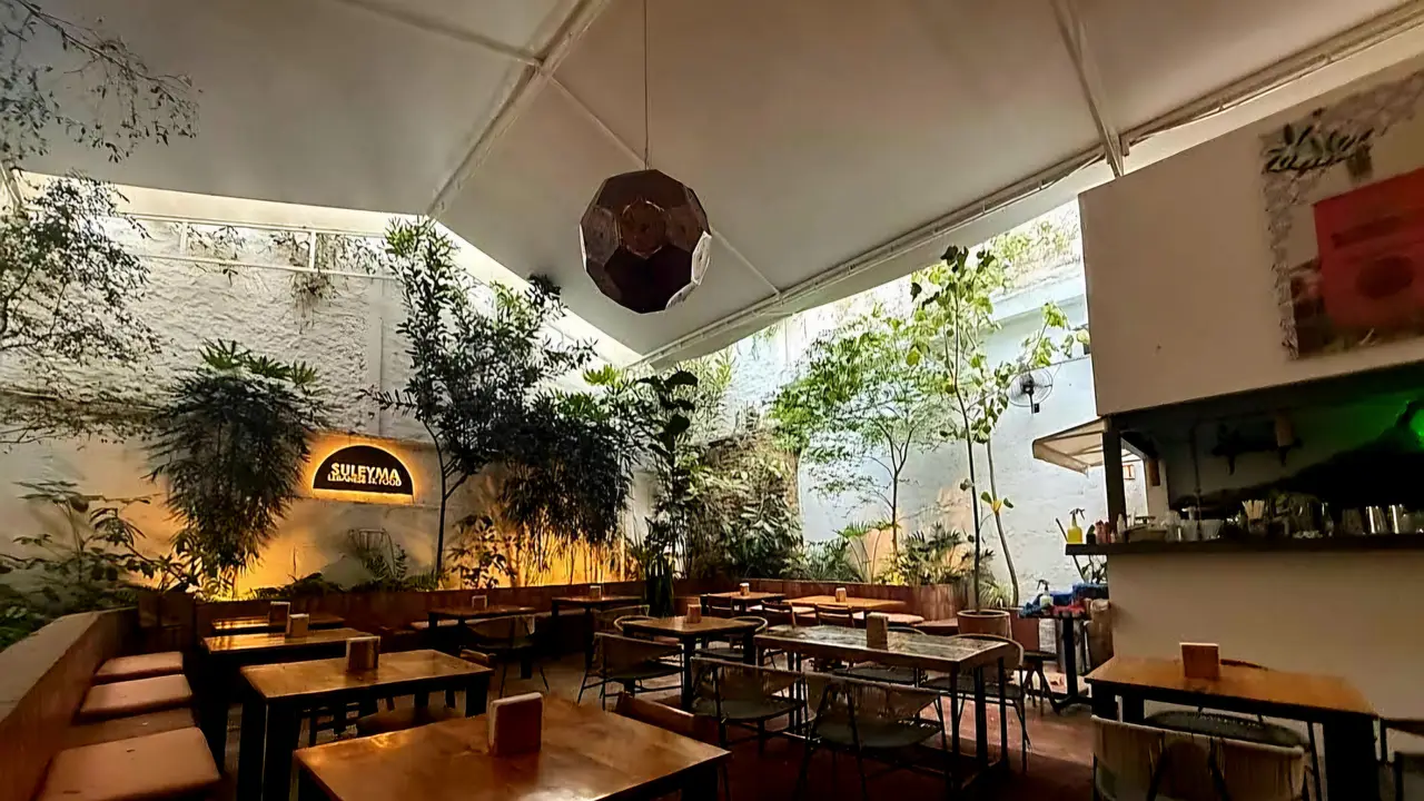 La amplia terraza de Suleyma llena de plantas - SULEYMA - COMIDA LIBANESA, Guadalajara, JAL