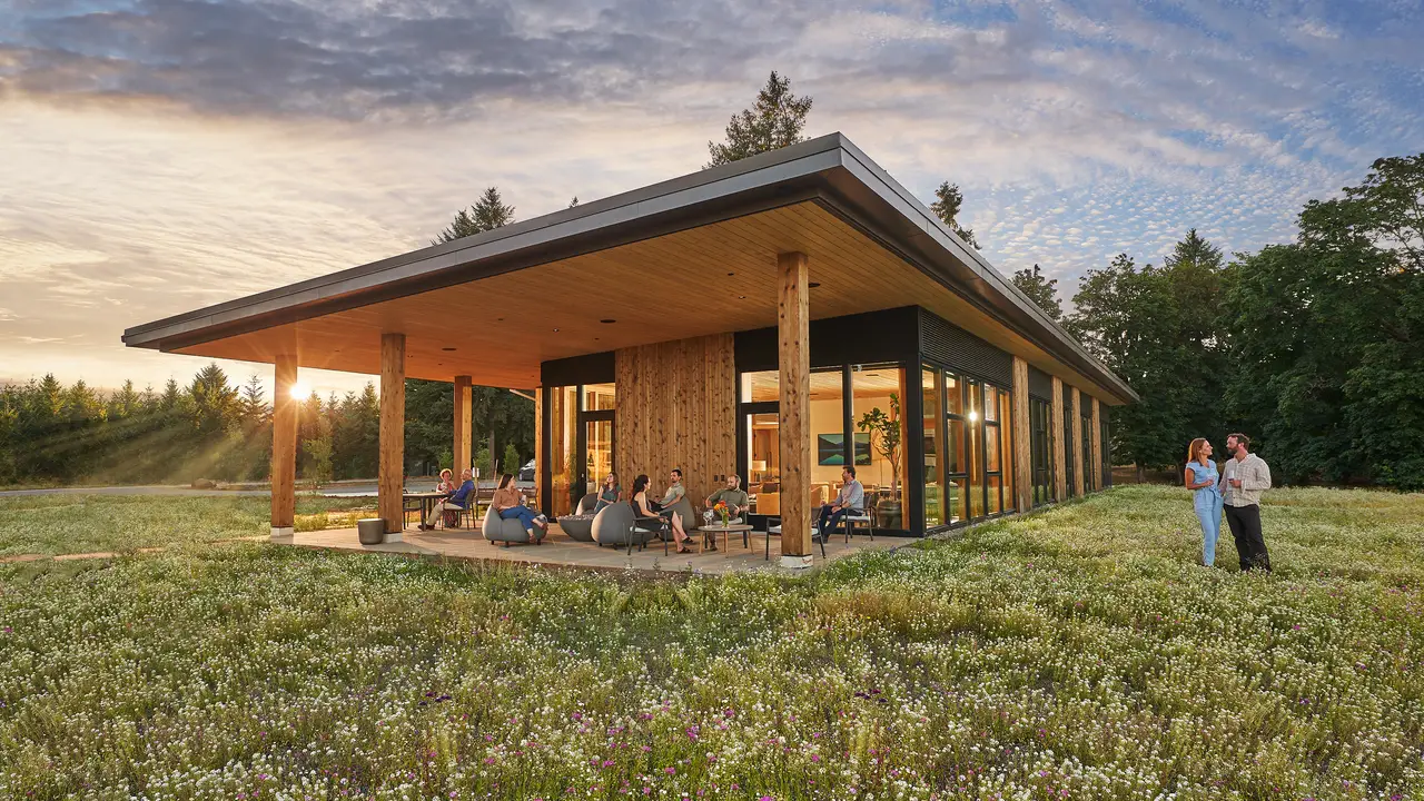 The Ground - Willamette Valley, Carlton, OR
