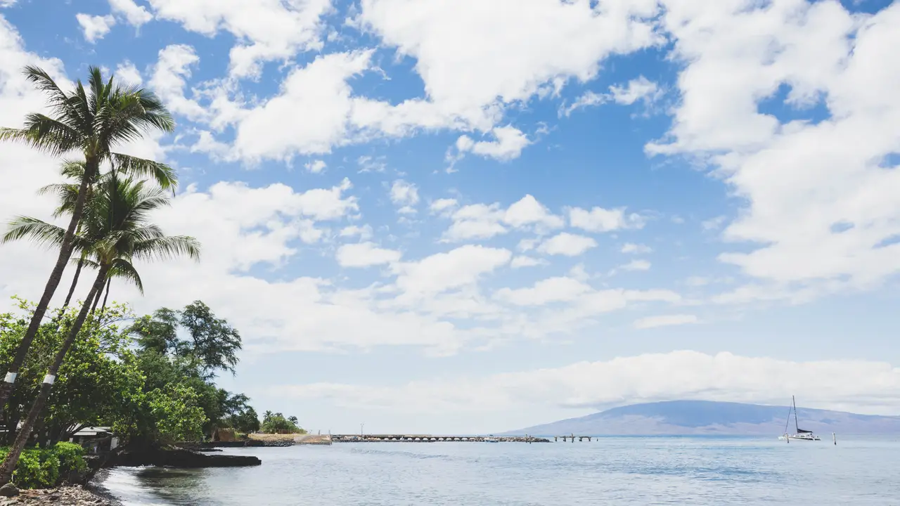 Honu Oceanside, Lahaina, HI
