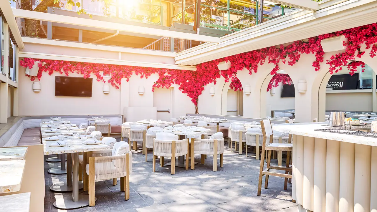 Come join us on our enclosed, heated patio! - PAROS, Toronto, ON