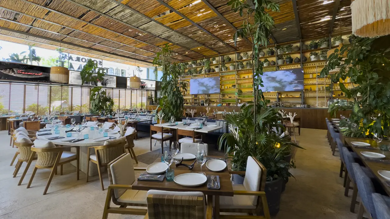 The Sonora Grill Playa del Carmen - Steak House - The Sonora Grill Playa del Carmen, Playa del Carmen, ROO
