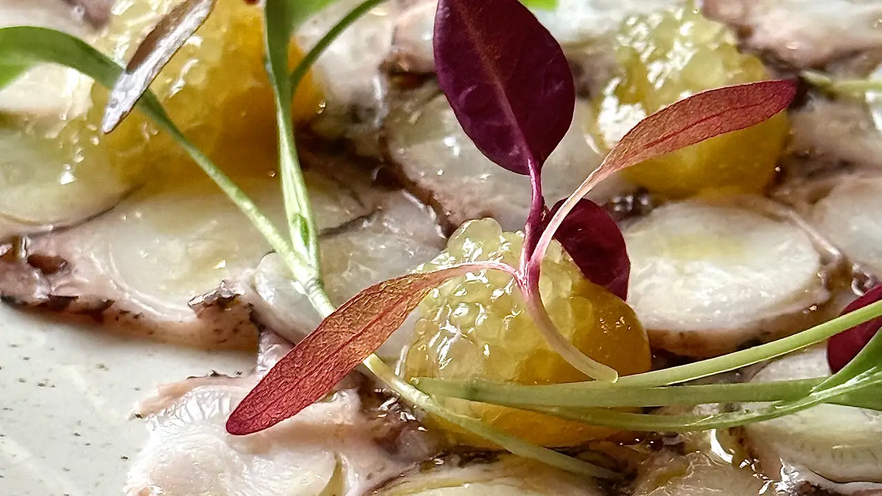 Octopus carpaccio  - Tan Bueno, Sandwich, Kent