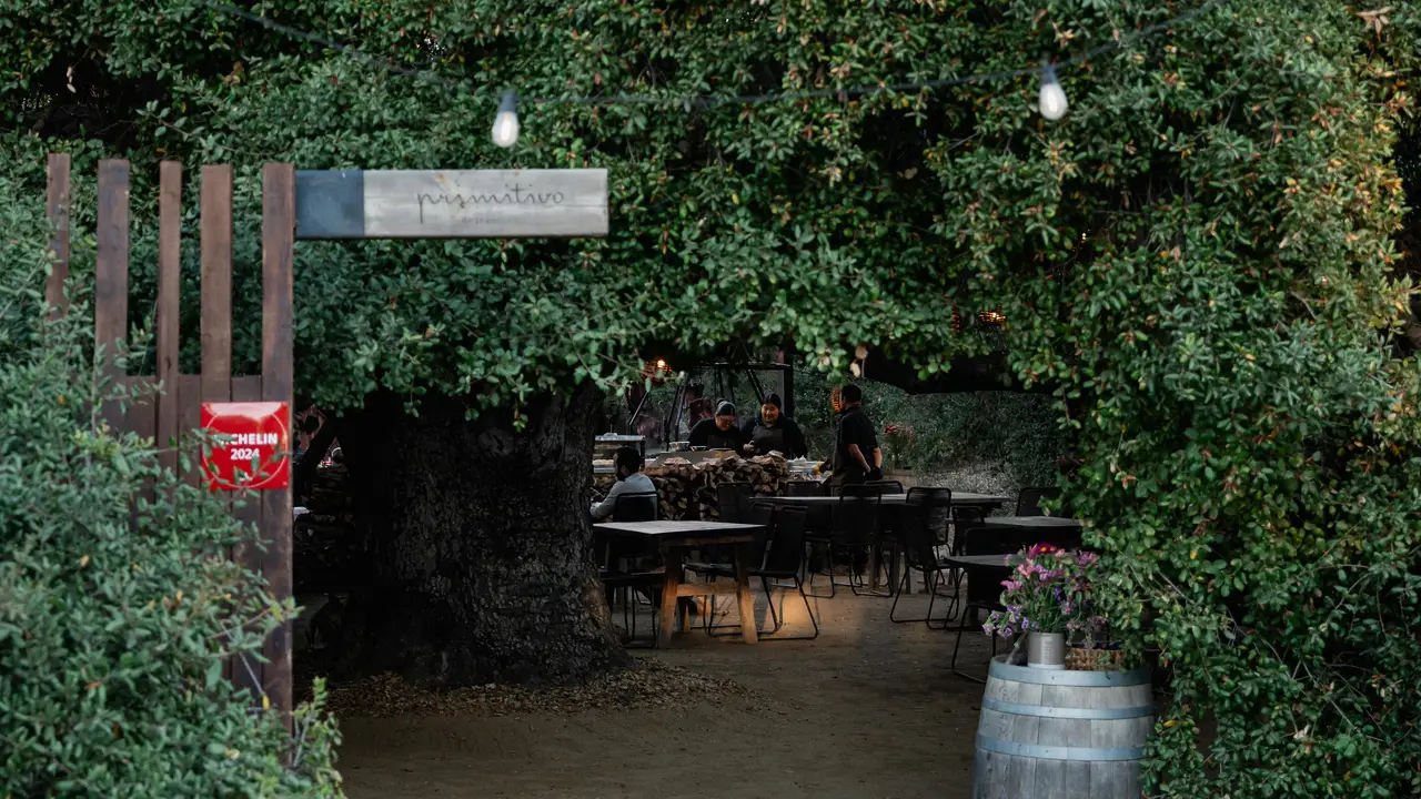 Primitivo, Ensenada, BCN