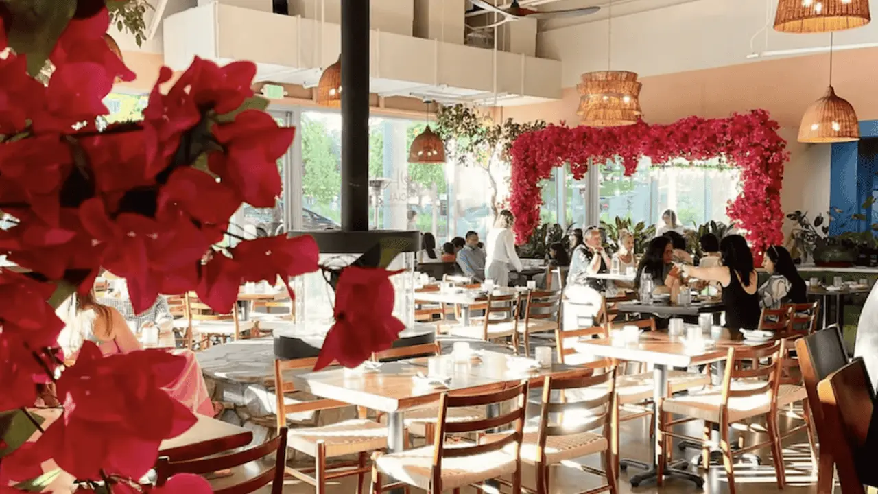 Alora Social, San Ramon, CA
