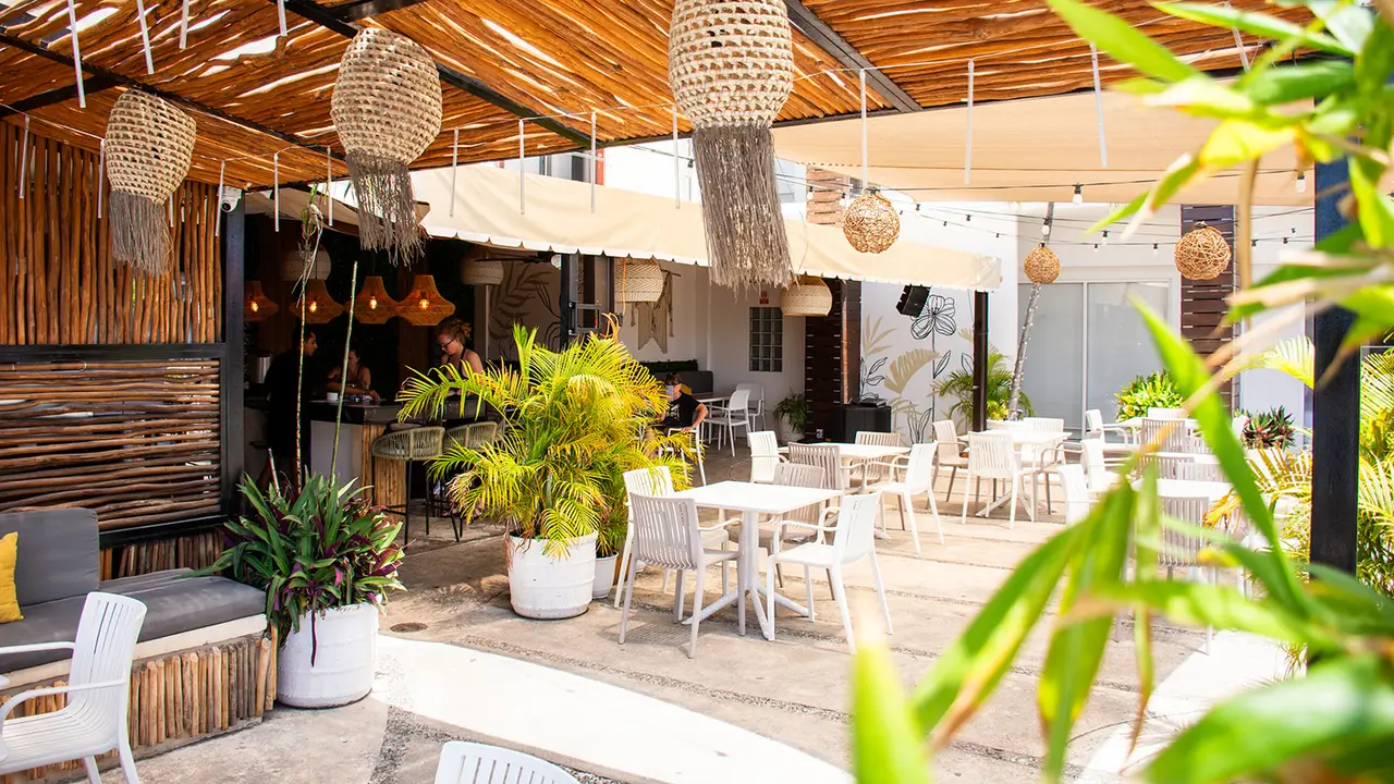 Cozy Rooftop, Live music, dinner, pool - Hotel boutique Caché, Playa del Carmen, ROO