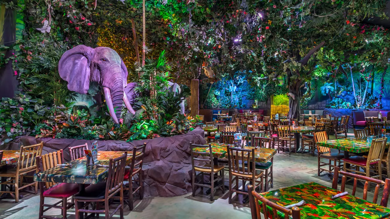 Rainforest Cafe - Katy Mills, Katy, TX