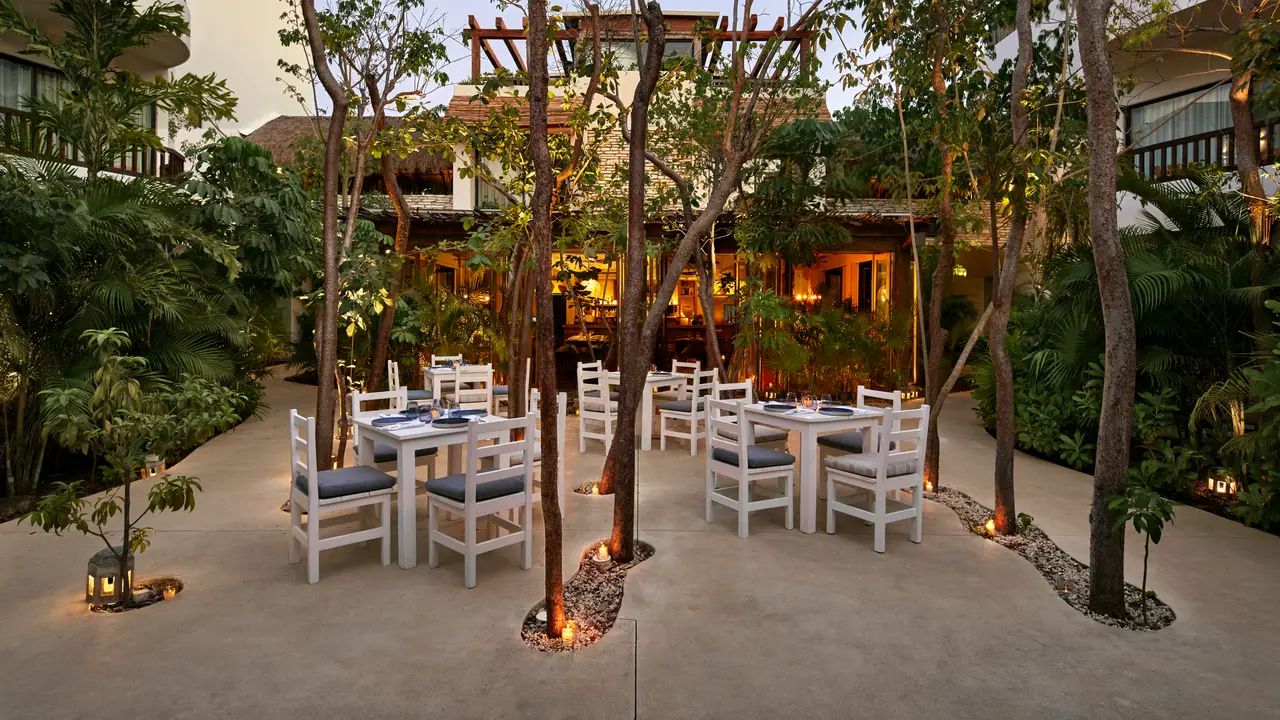 Parallel 20° by Kimpton Aluna Tulum, Tulum, ROO