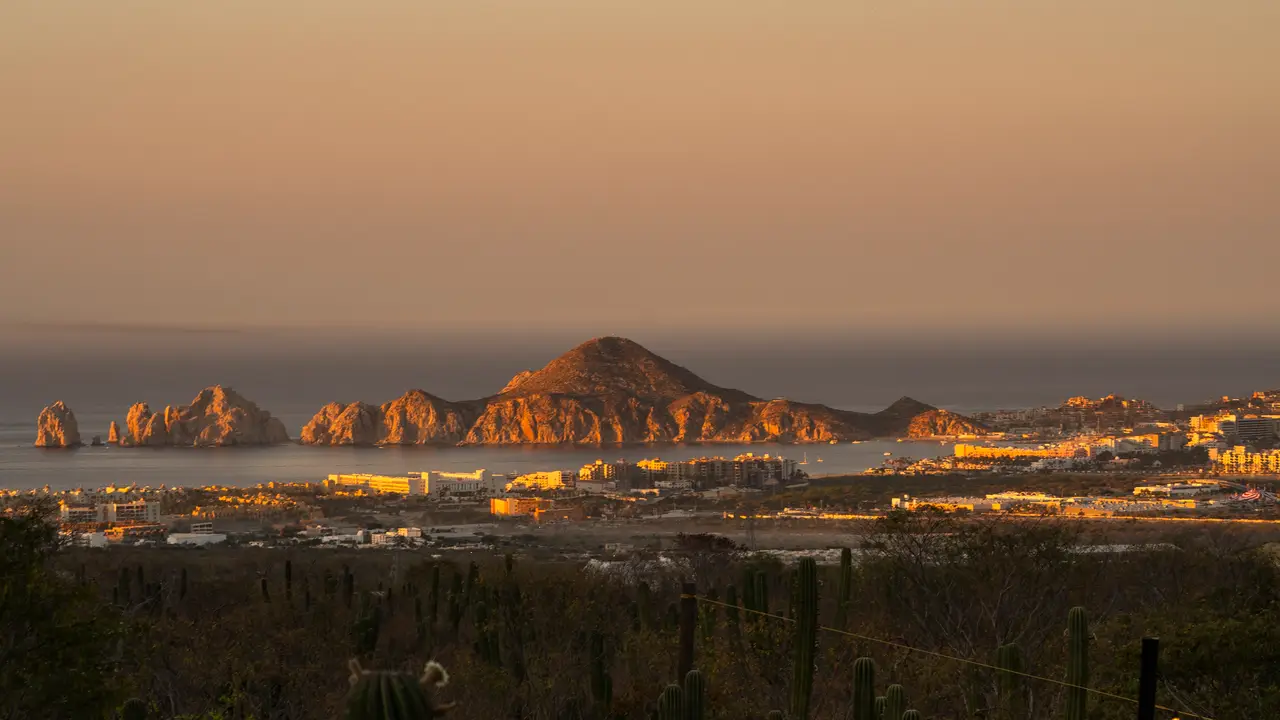 The finest local flavors from La Baja! - Torote Restaurant, Cabo San Lucas, BCS