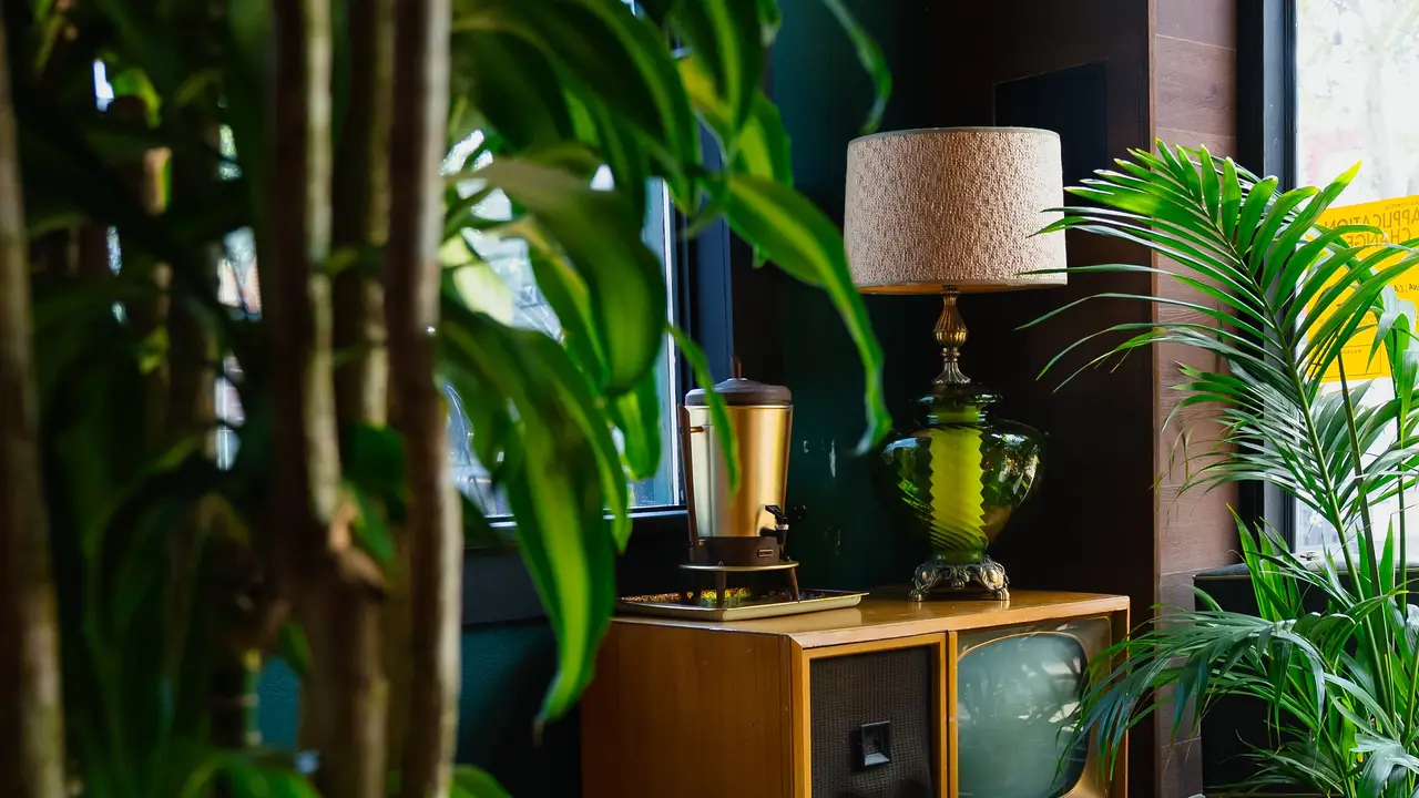 Design-forward lounge with plants &amp; light - Sonder, Santa Ana, CA