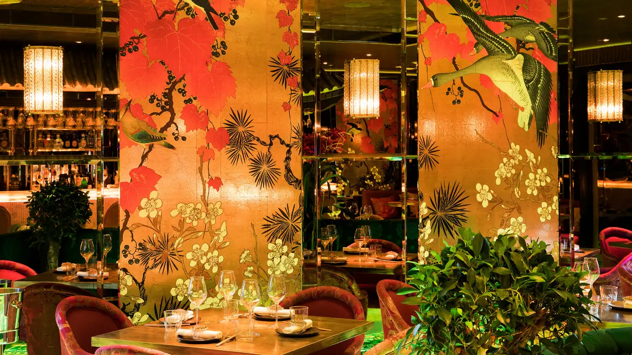 The Ivy Brasserie, Spinningfields, Manchester, ENG